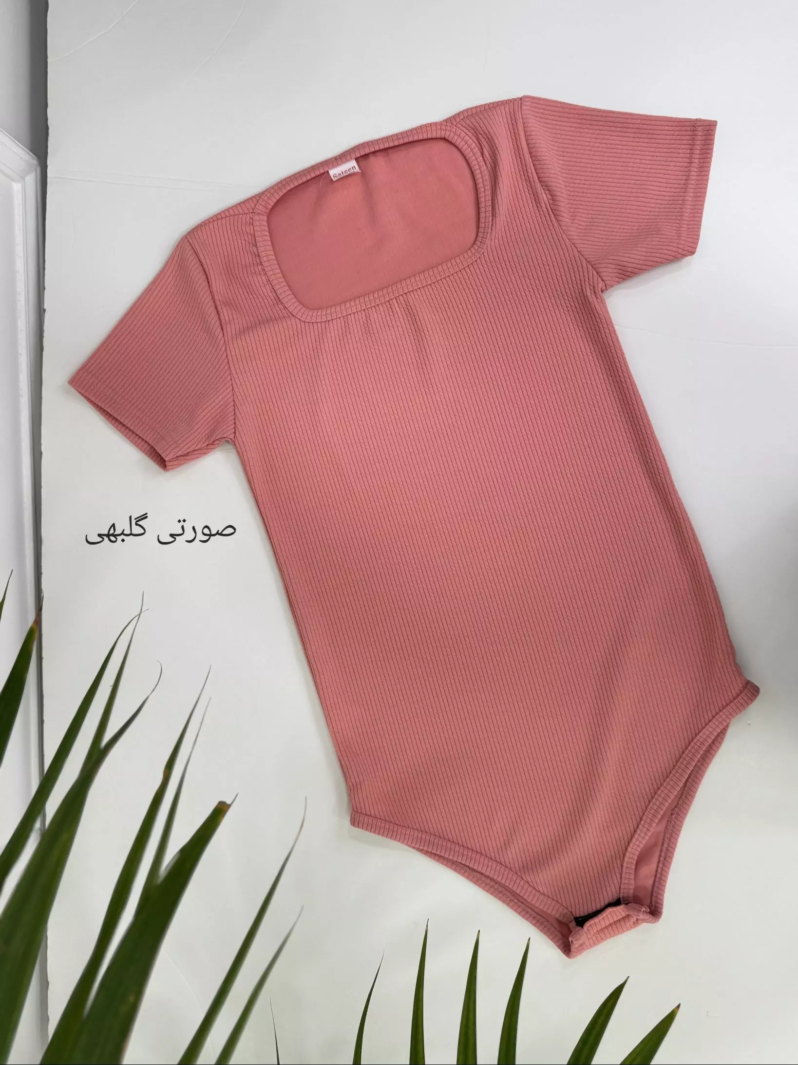 بادی آنیلا